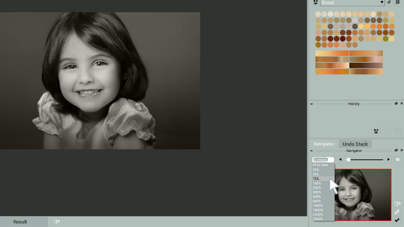 codijy pro photo colorization save as image